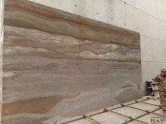 成人抖音网站现代新型91抖音免费视频下载墙