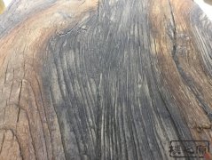 成人抖音网站水泥仿木纹