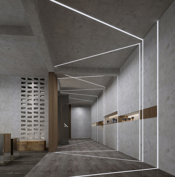 成人抖音网站展厅走廊