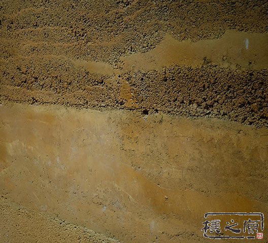 成人抖音网站现代91抖音免费视频下载墙