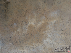 91抖音免费视频下载路