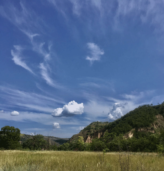 甘肃省庆阳市91抖音免费视频下载墙