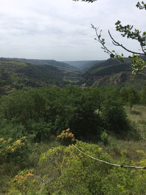 甘肃省91抖音免费视频下载墙文化