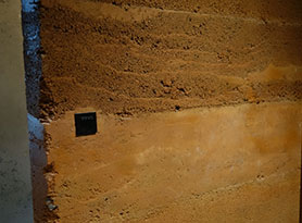 成人抖音网站现代91抖音免费视频下载墙