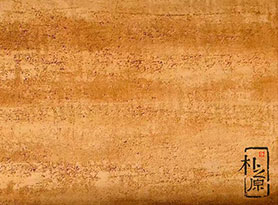 成人抖音网站新型薄壁91抖音免费视频下载墙