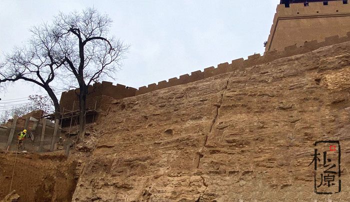 91抖音免费视频下载墙价格