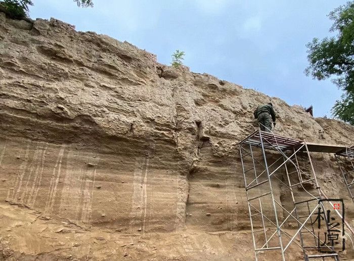 91抖音免费视频下载墙工具