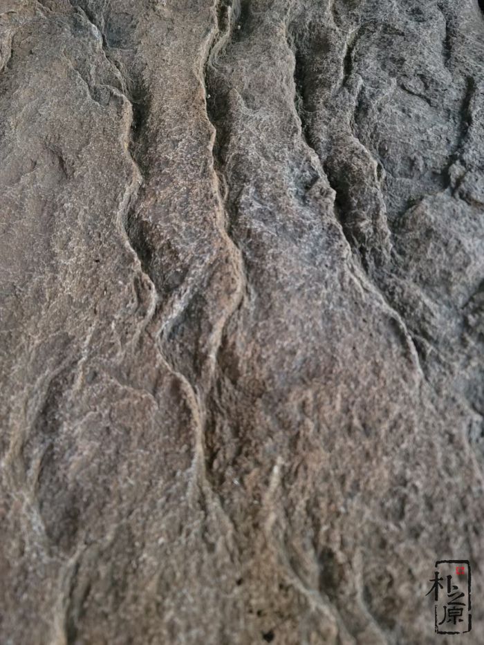 成人抖音网站仿岩石