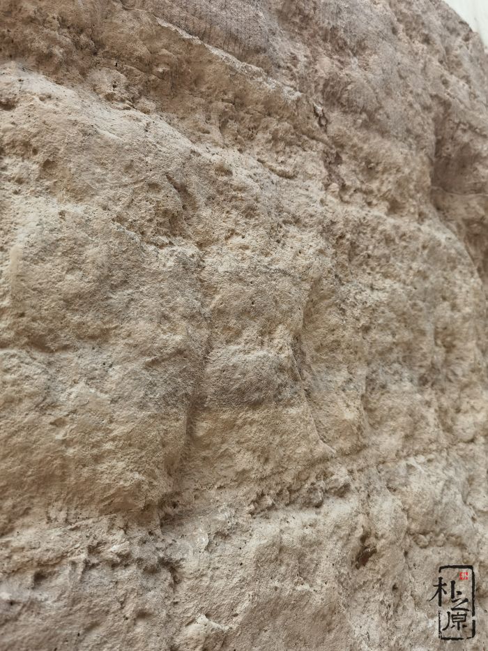 91抖音免费视频下载墙案例