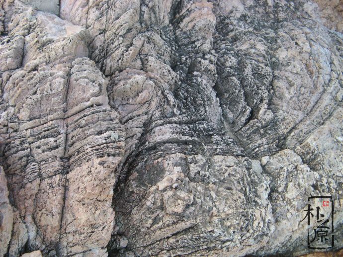 成人抖音网站仿岩石