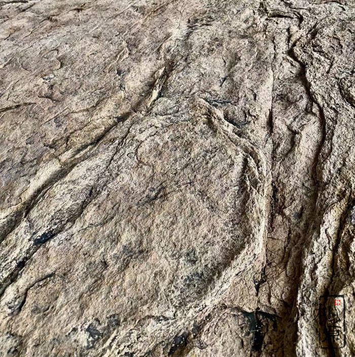 成人抖音网站仿岩石