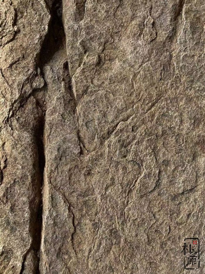 成人抖音网站仿岩石