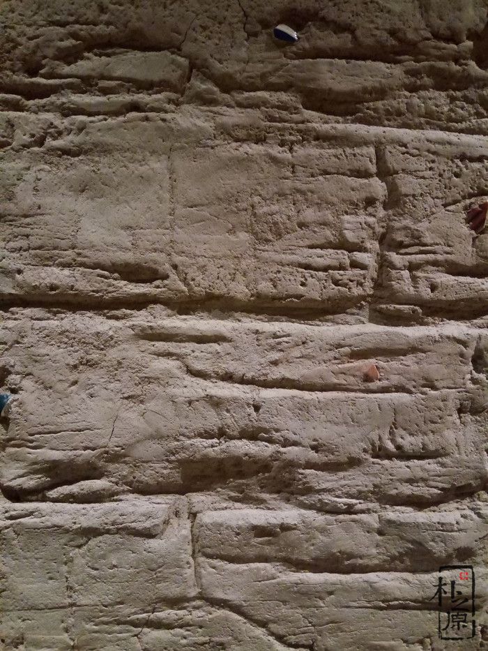 91抖音免费视频下载墙挂板